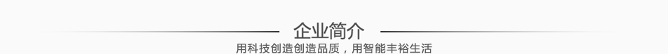 智能門(mén)鎖簡(jiǎn)介