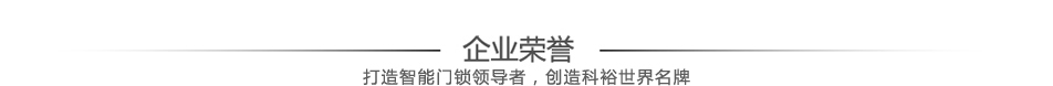 指紋門(mén)鎖企業(yè)榮譽(yù)